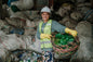 ocean bound plastic - persona raccoglie bottiglie di plastica